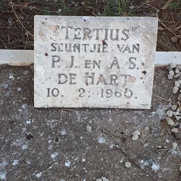 HART Tertius, de -1960