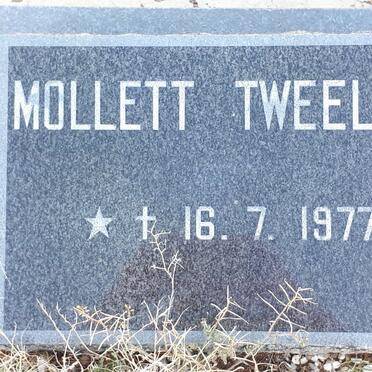 MOLLETT Twins 1977-1977