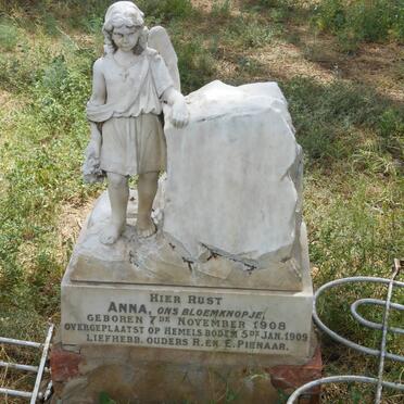 PIENAAR Anna 1908-1909