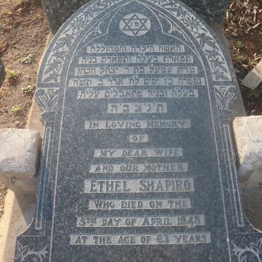 SHAPIRO Ethel -1948