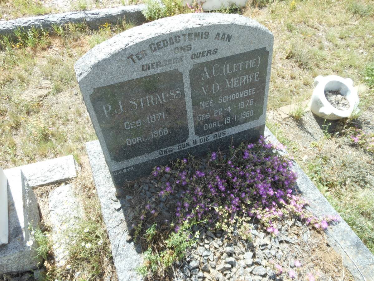 STRAUSS P.J. 1871-1909 &amp; A.C. VAN DER MERWE nee SCHOOMBEE 1876-1960