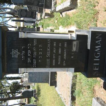 SELIGMAN Ellie 1913-1982