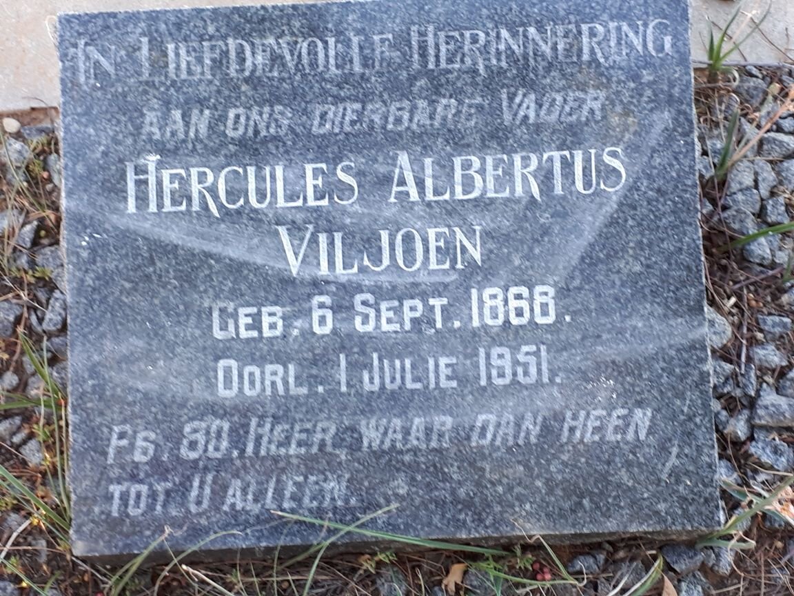 VILJOEN Hercules Albertus 1868-1951