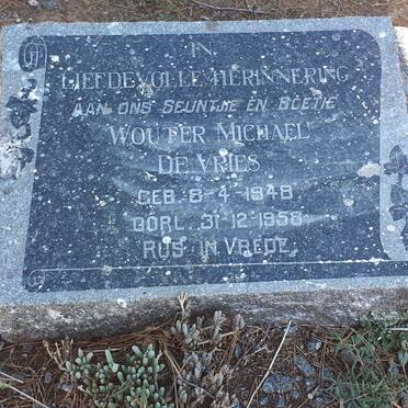 VRIES Wouter Michael, de 1948-1958