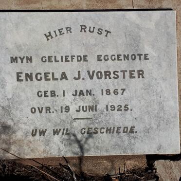 VORSTER Engela J. 1867-1925