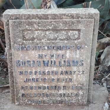 WILLIAMS Susan -1920