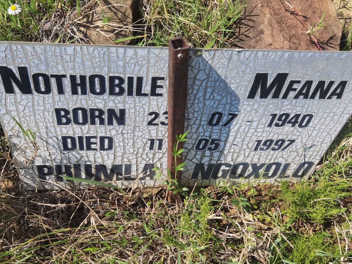 MFANA Nothobile 1940-1997
