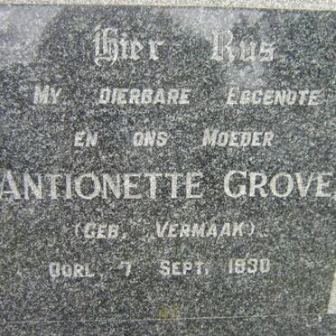GROVE Antionette nee VERMAAK -1930