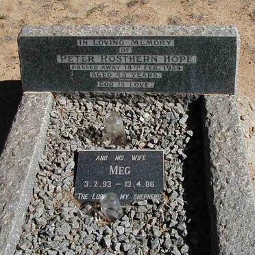 HOPE Peter Rostheren -1934 &amp; Meg 1893-1986