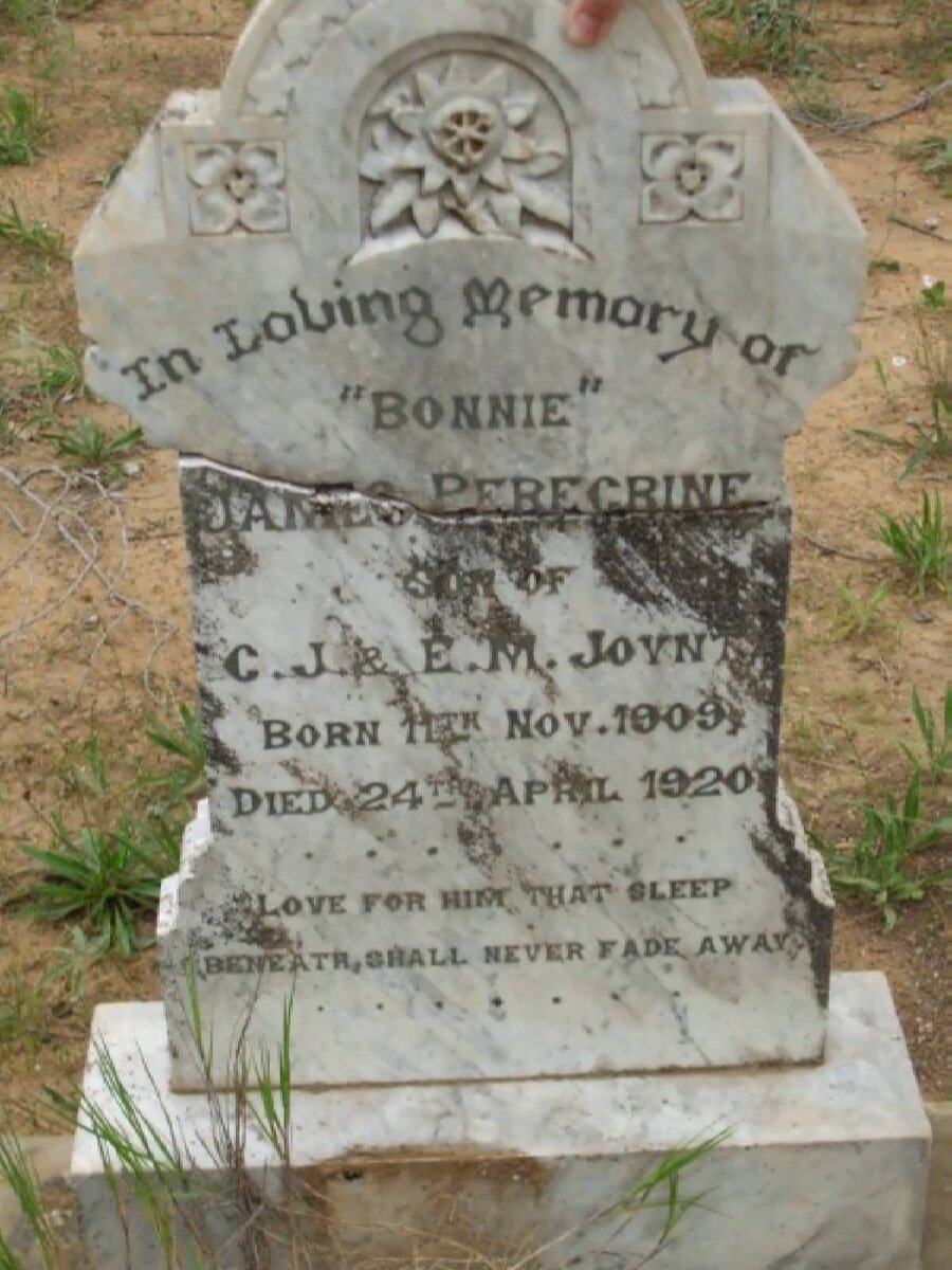 JOYNT James Peregrine 1909-1920