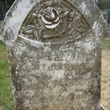 VENTER ?Daniel Frederik 1881-1918