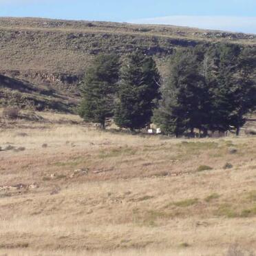 Eastern Cape, MOLTENO district, Wit kop 232, Bloemtuin farm cemetery