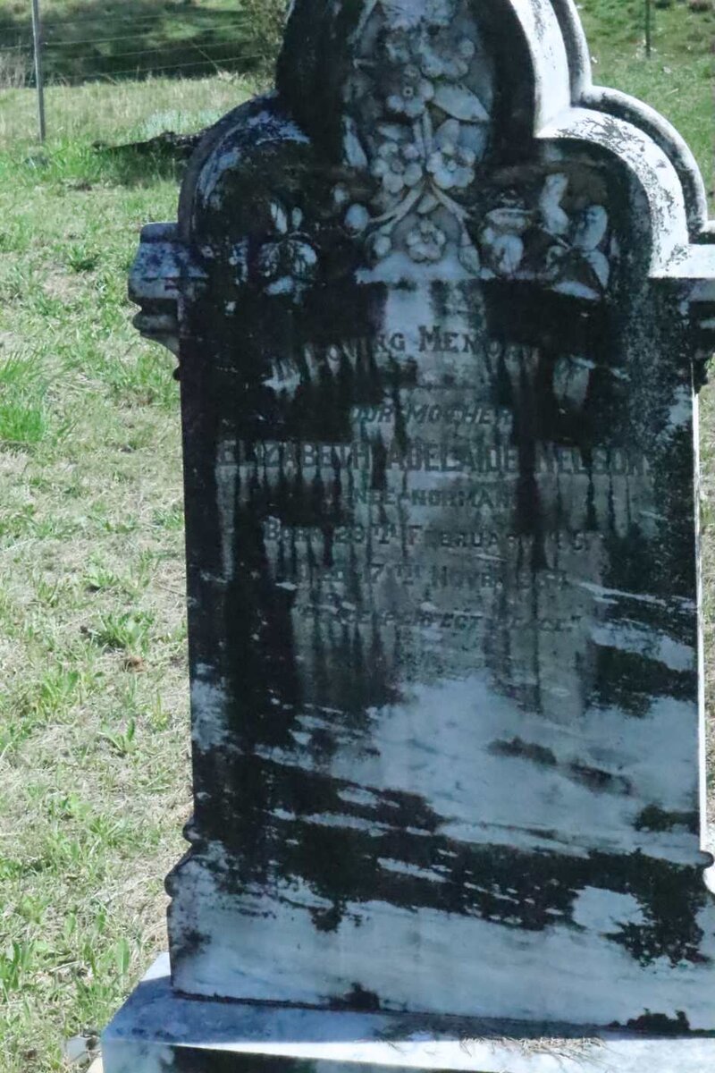 NELSON Elizabeth Adelaide nee NORMAN 1857-1934