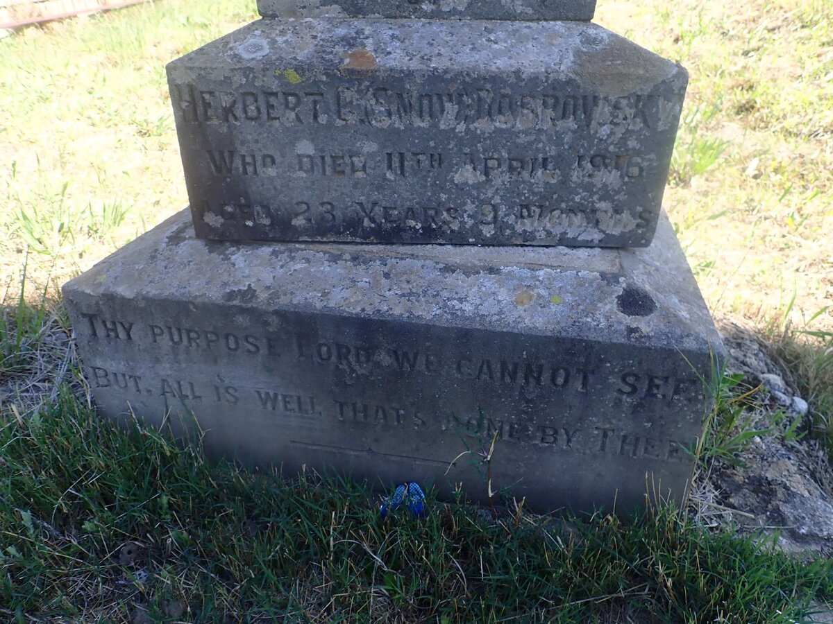 DOBROWSKY Herbert C. -1916