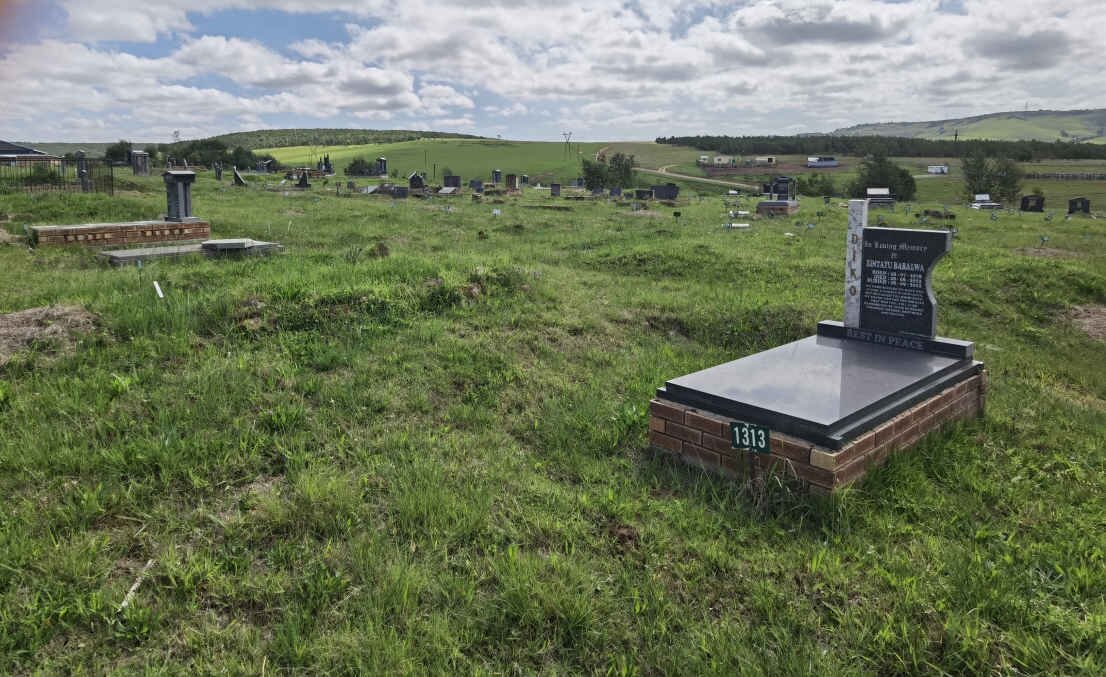 2. Overview / Oorsig