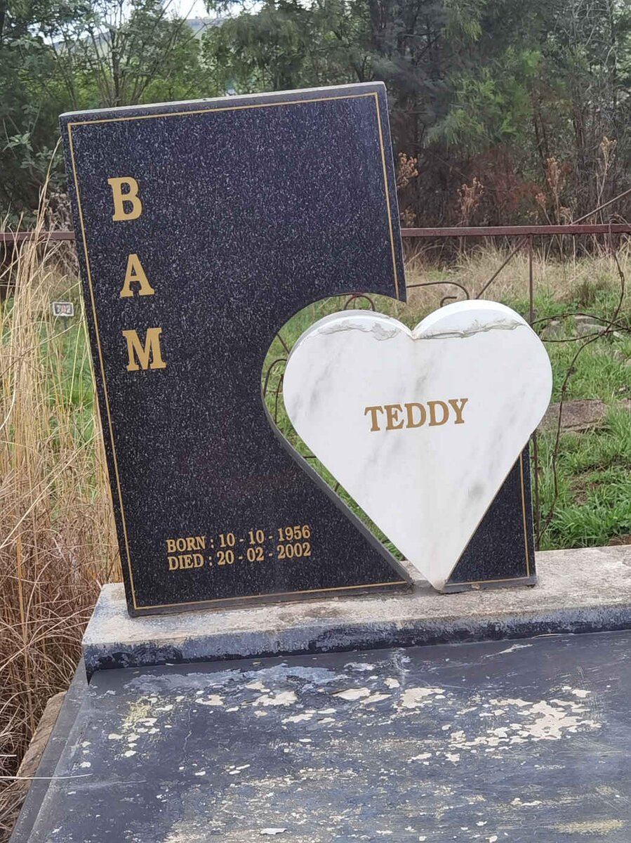 BAM Teddy 1956-2002