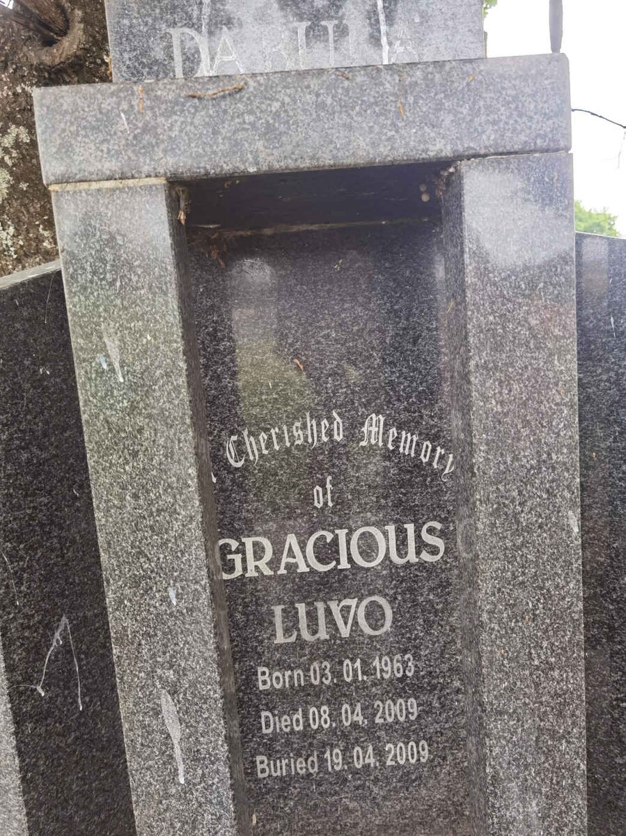 DABULA Gracious Luvo 1963-2009