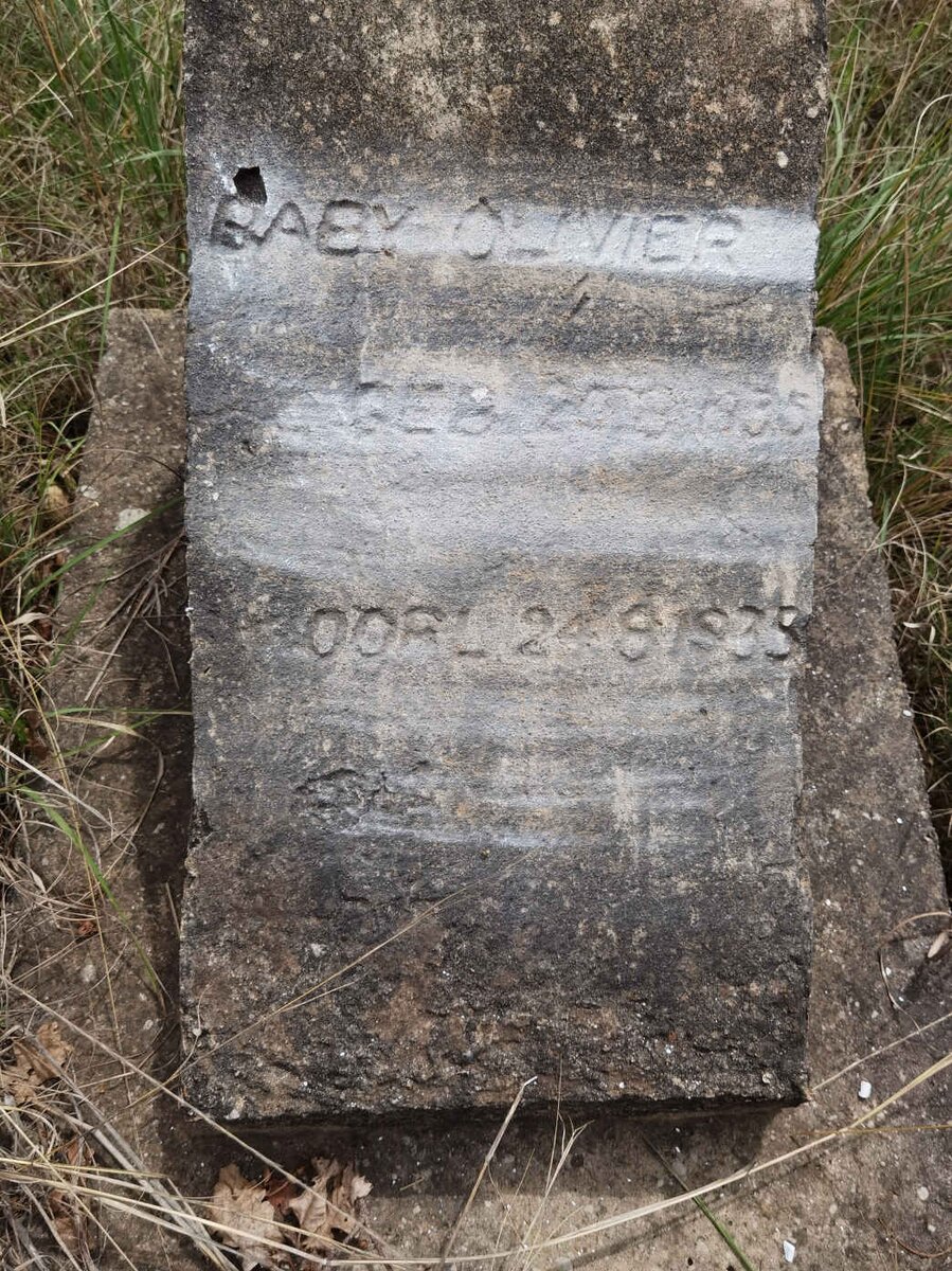 OLIVIER Baby 1935-1935