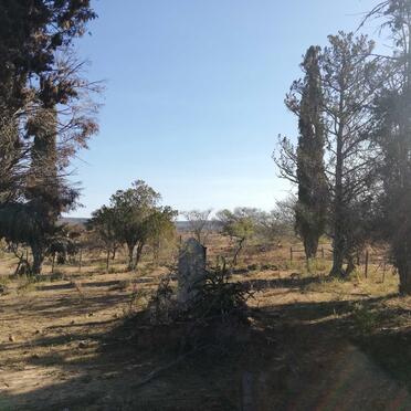 Eastern Cape, MPOFU district, Uitkyk 872_2, farm cemetery