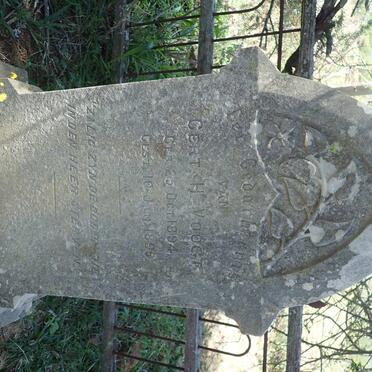 VOOGT Gert H. 1894-1895