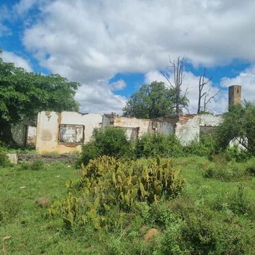 3. Overview / Oorsig