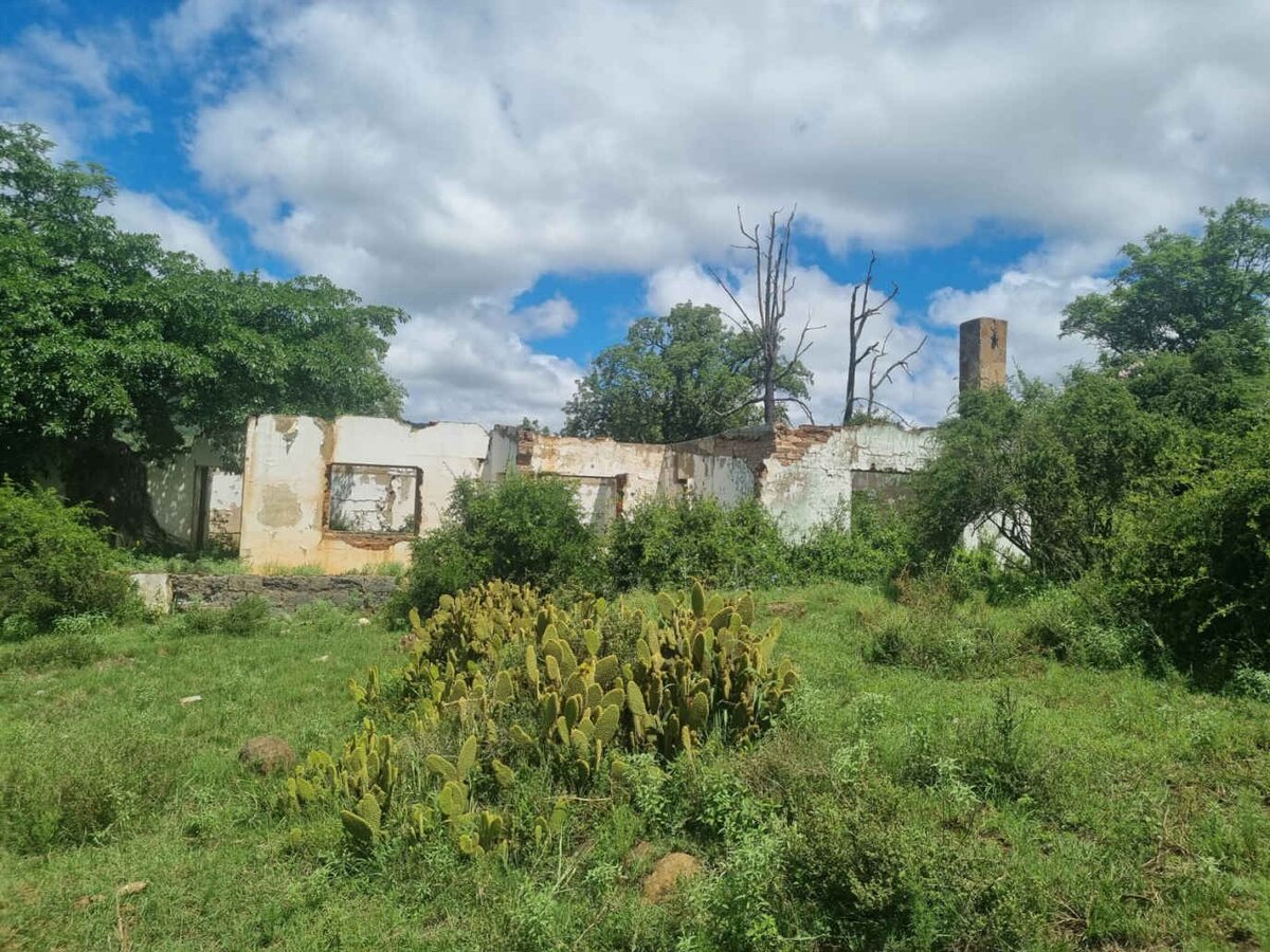 3. Overview / Oorsig