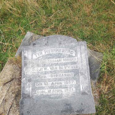 VYVER Elsje W., van de nee  BERNARD 1857-1921