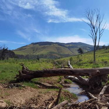 3. Overview / Oorsig