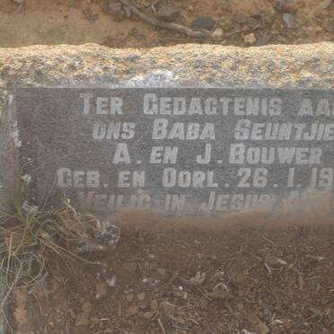 BOUWER Baba 1955-1955