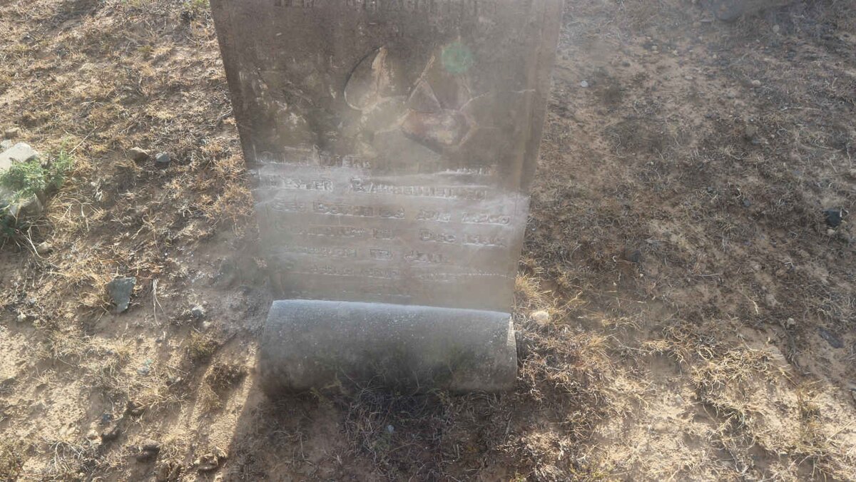 RAUBENHEIMER Hester nee BOTHA 1860-1930