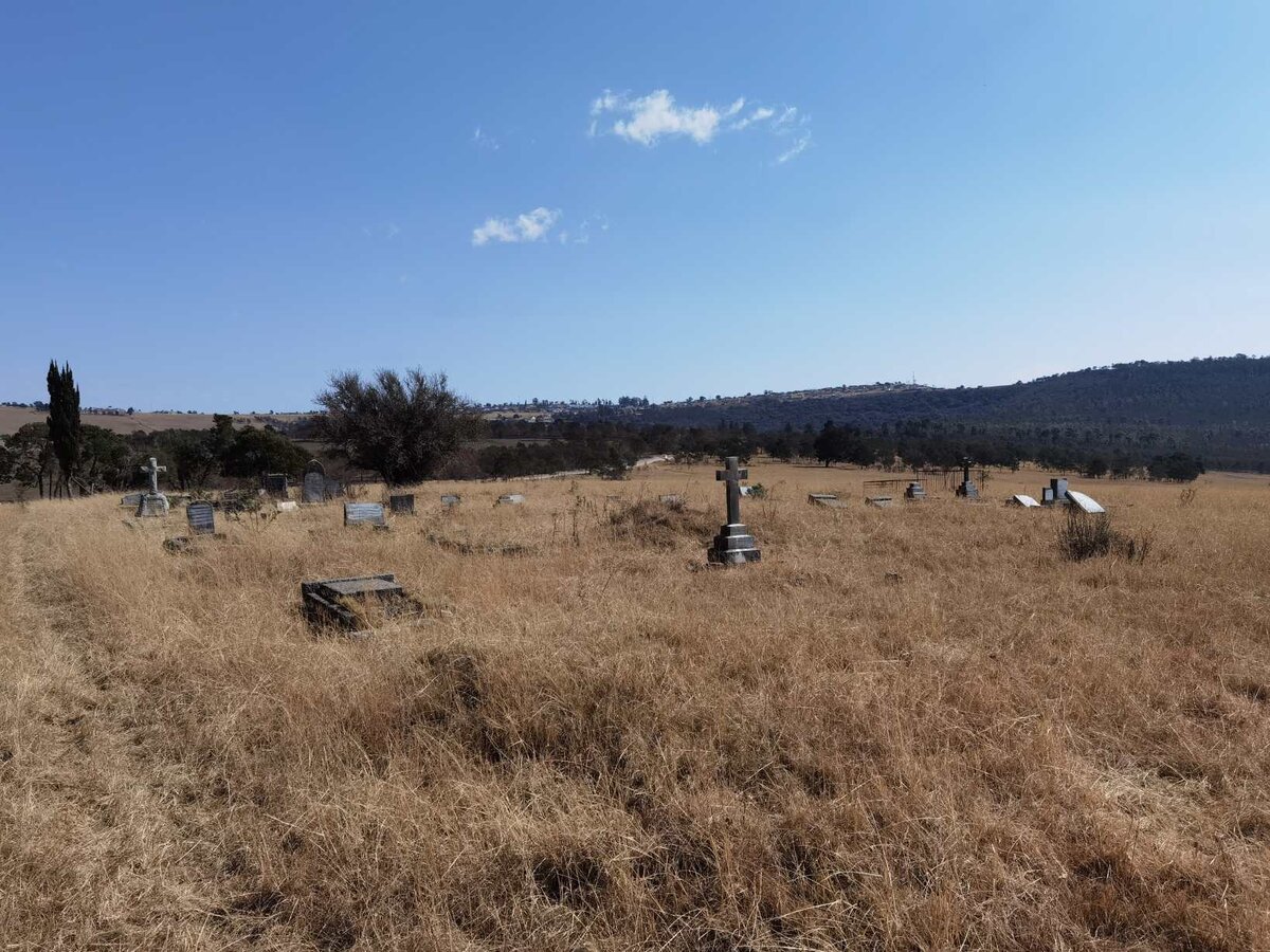 1. Oorsig / Overview