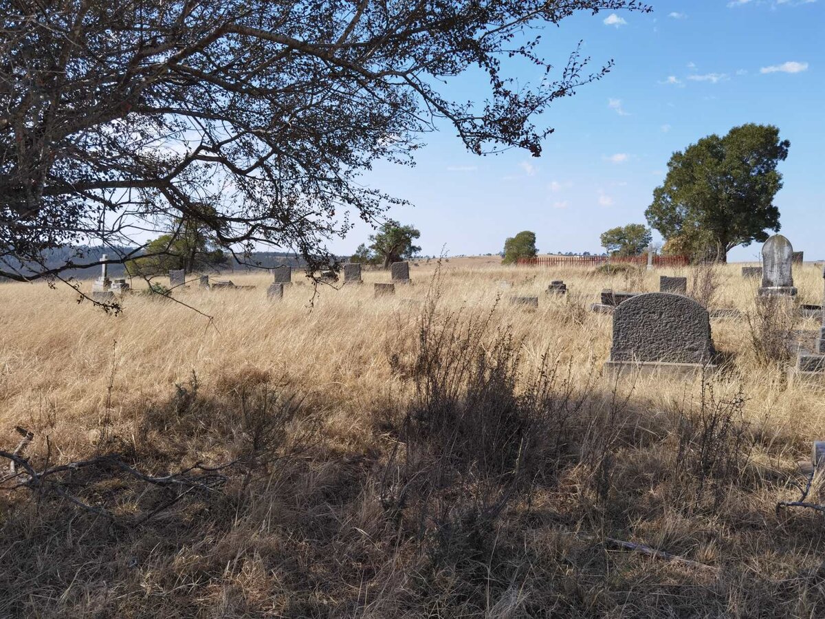 4. Oorsig / Overview