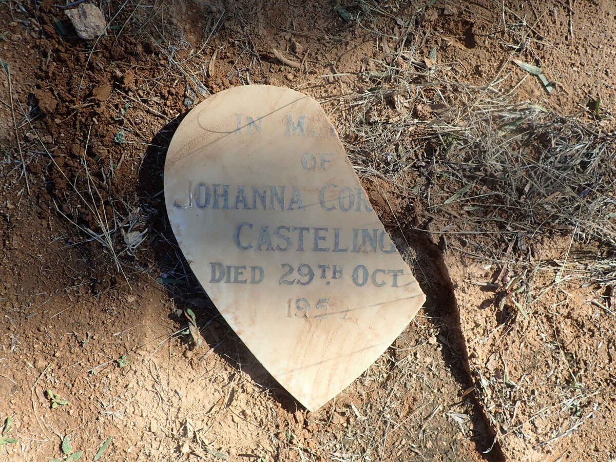 CASTELING Johanna Cornelia nee ERASMUS -1950