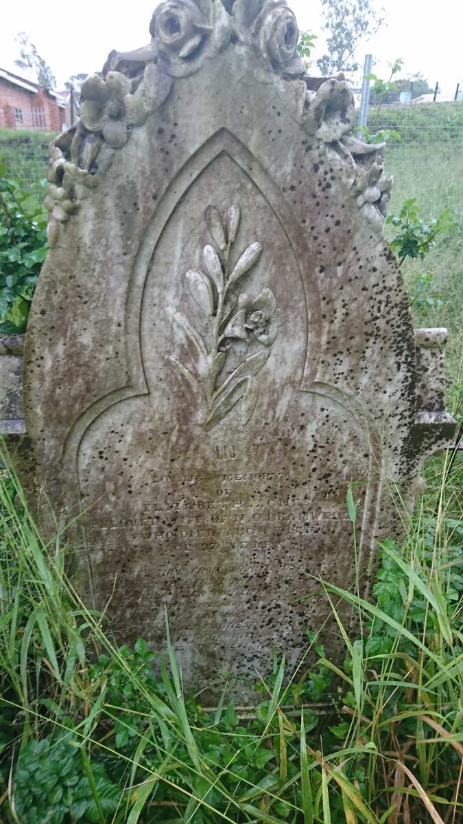 BRAMWELL Elizabeth Agnes -1895