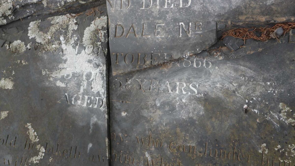 HILLIER Edwin 1835-1866