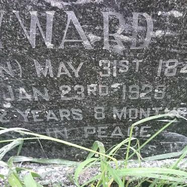 HAYWARD William Henry 1839-1912 &amp; Mary Ann NELSON 1845-1928