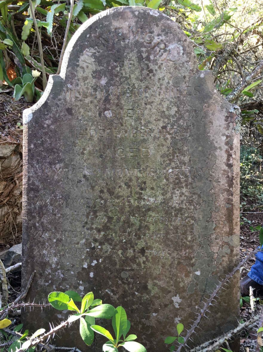 HILES William Henry -1872