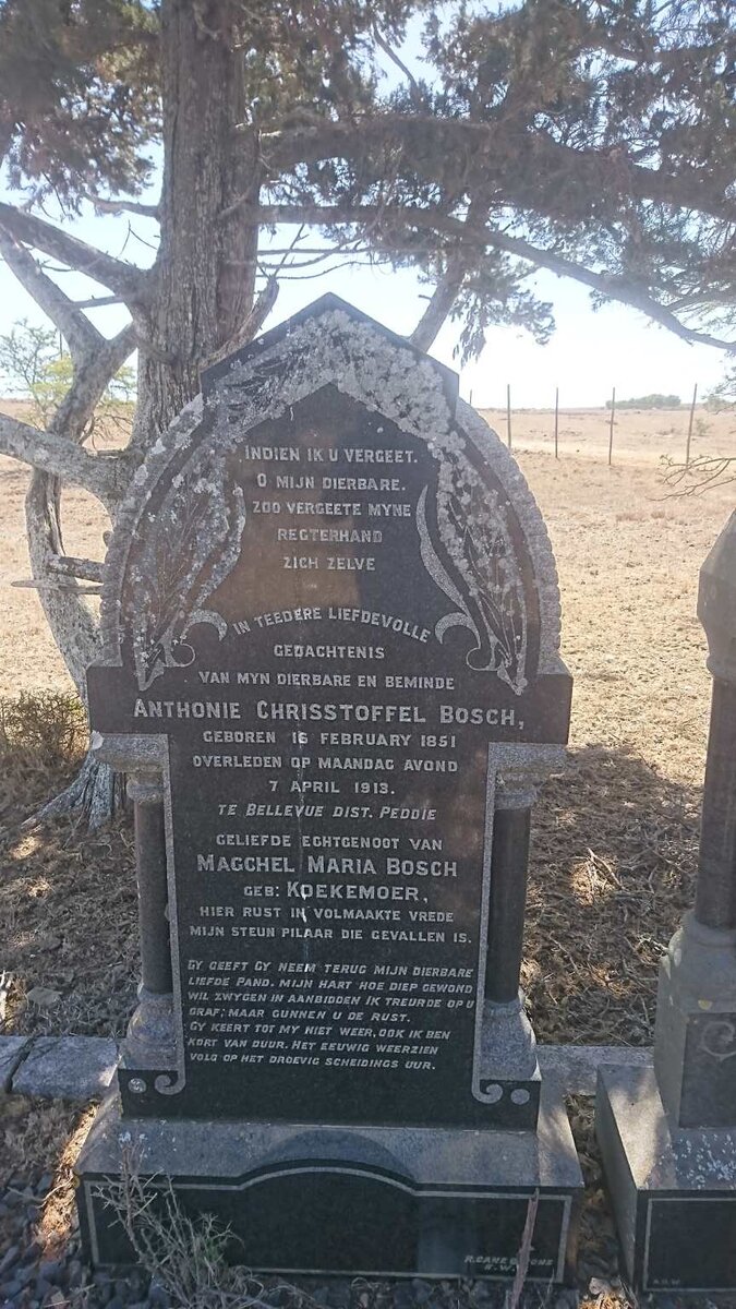 BOSCH Anthonie Chrisstoffel 1851-1913