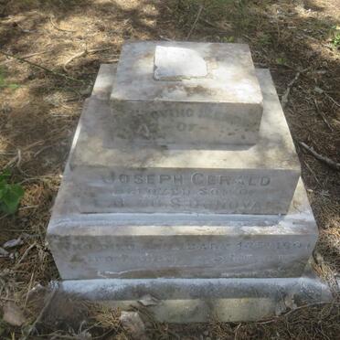 DONOVAN Joseph Gerald -1901