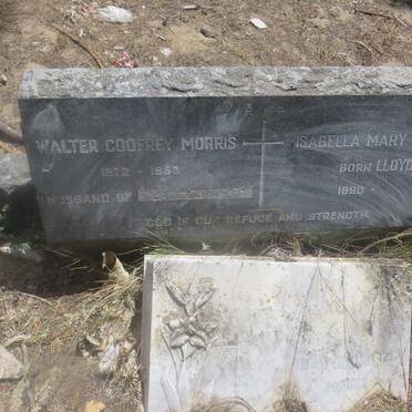 MORRIS Walter Godfrey 1872-1953 &amp; Isabella Mary LLOYD 1890-