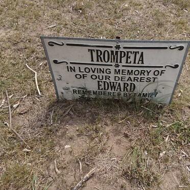 T - Vanne :: Surnames - T