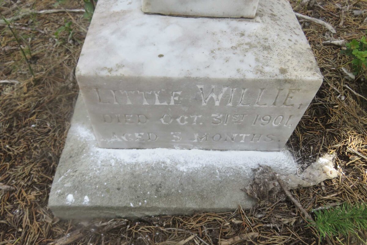 ? Little Willie -1901