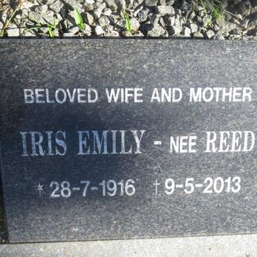 CLAYTON Iris Emily nee REED 1916-2013