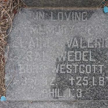 SALZWEDEL Elaine Valerie nee WESTCOTT 1942-1987