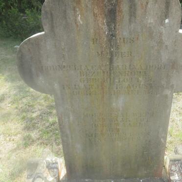 BEZUIDENHOUT Cornelia Catharina Dorethia nee LOTTER 1881-1945 