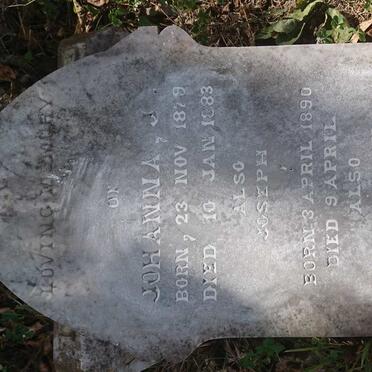 SAMUEL Johanna J. 1879-1883 :: SAMUEL Joseph 1890-1890 :: SAMUEL Penninah 1893-1894