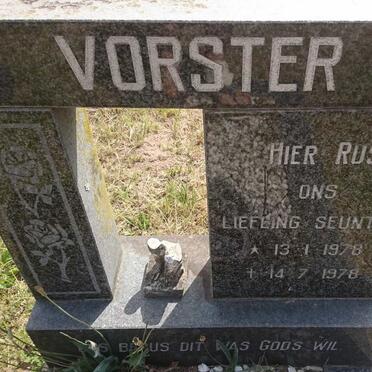 VORSTER 1978-1978