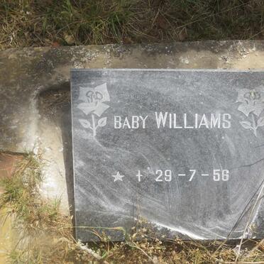 WILLIAMS Baby 1956-1956