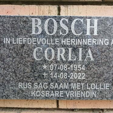 BOSCH Corlia 1954-2022