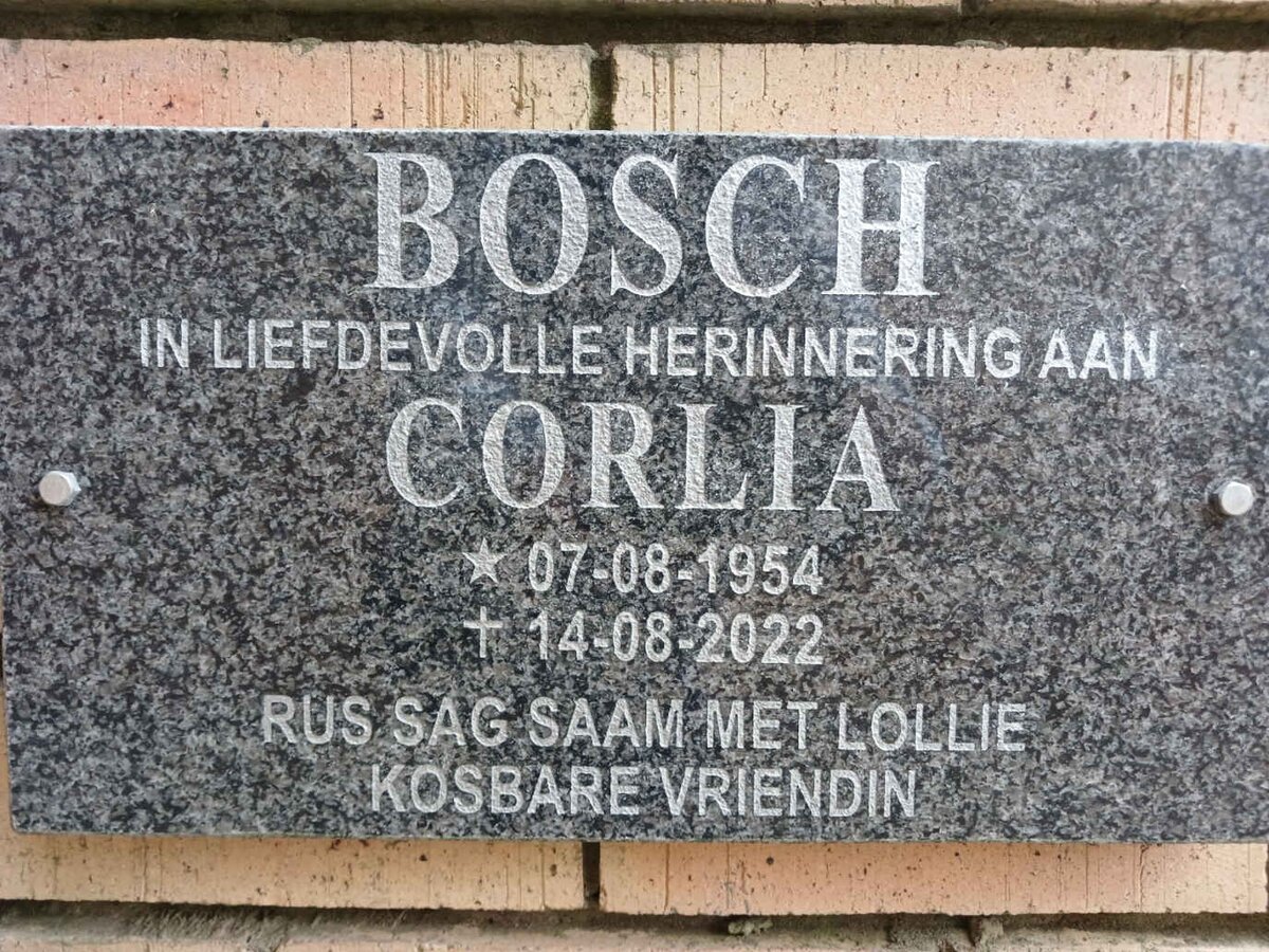 BOSCH Corlia 1954-2022